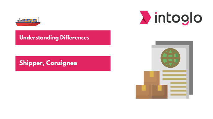 Understanding Difference Shipper, Consignee