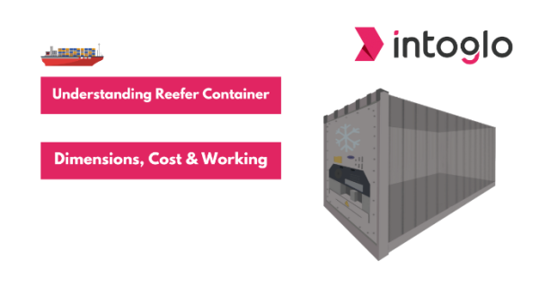 Understanding Reefer Container Dimensions, Cost and Working