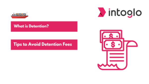 What is Detention Top Strategies and Tips to Avoid Detention Fees in Your Cross-Border Shipments