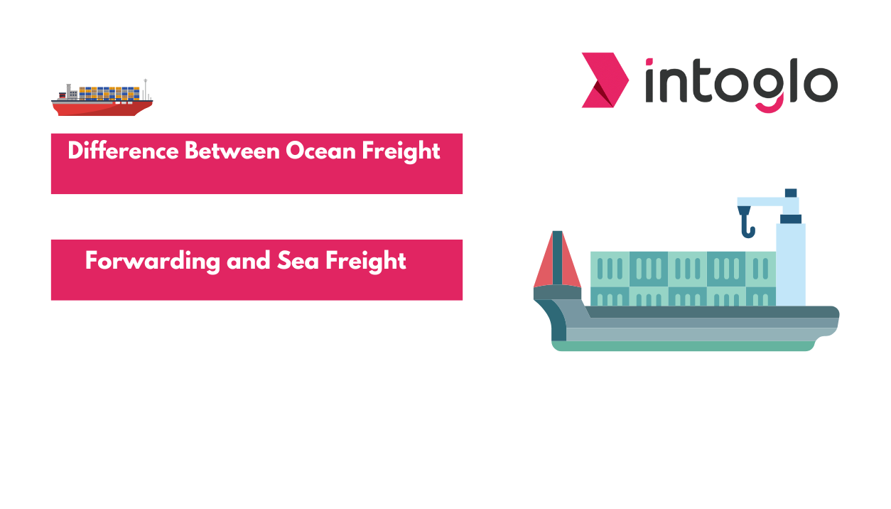 Differences Between Storage, Demurrage, and Detention Charges in Shipping