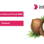 Comprehensive Guide to HS Code 0801 Coconut